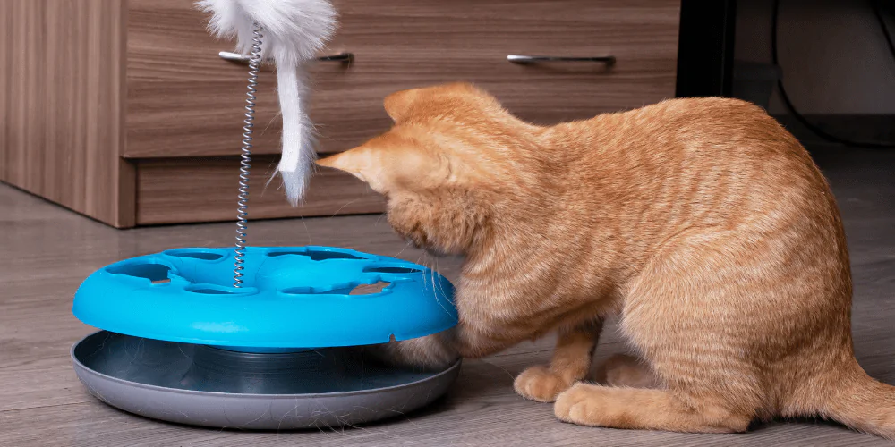 A picture of a short haired ginger playing with a cat puzzle toy