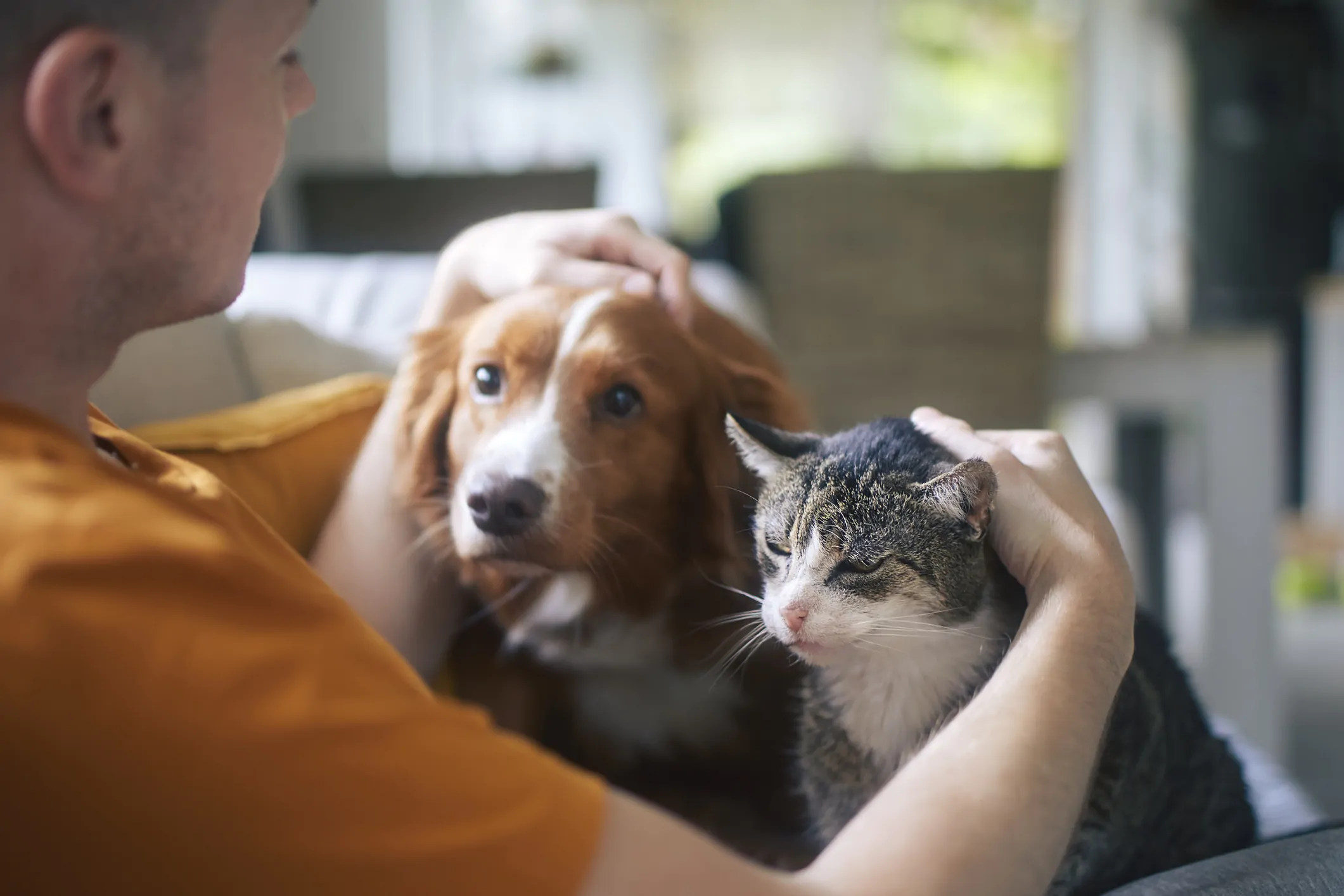 Pet owner with a cat and dog.