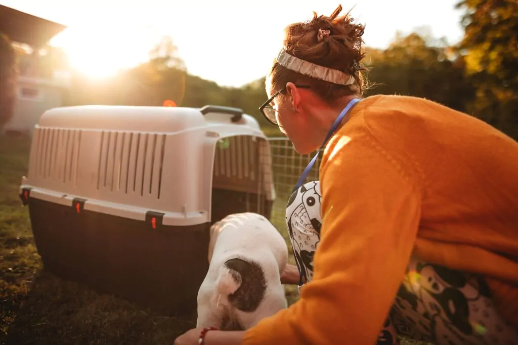 Kennel breeder