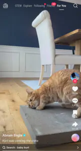TikTok of Kurt and his concrete slab