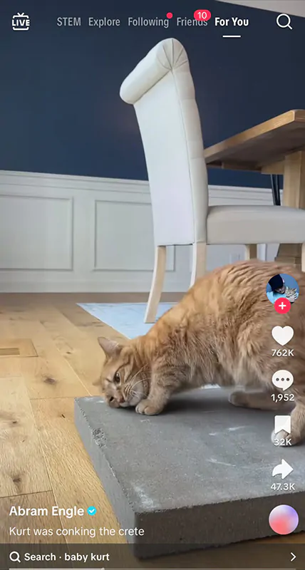 TikTok of Kurt and his concrete slab
