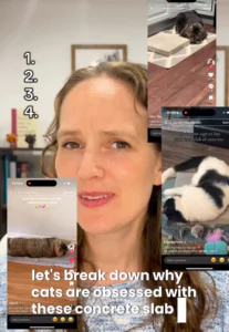 Lucy Hoile explains why cats love concrete slabs - link to YouTube video