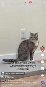 Minnow and her concrete slab