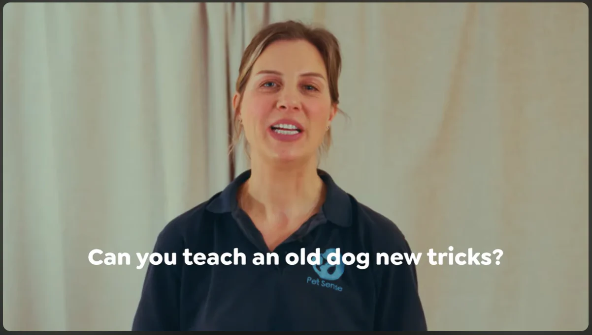 Screengrab of 'Old dog, new tricks' video on YouTube