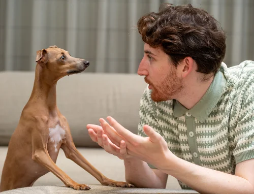 Trevor the Iggy being quizzed by James Hoyles (right)