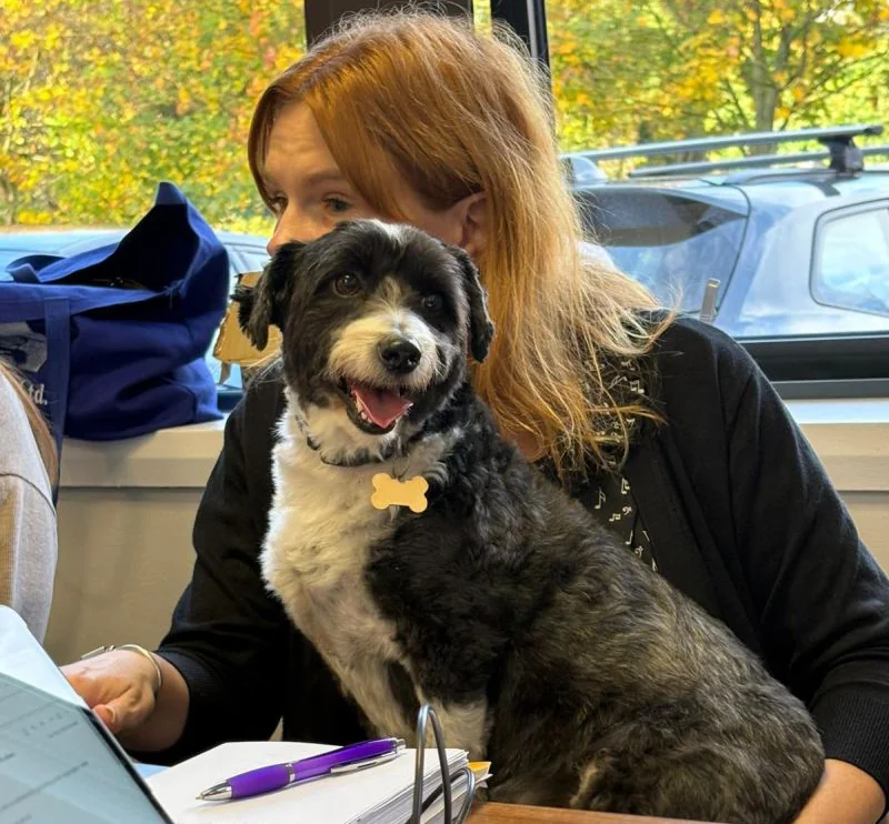Kerry with her dog, working hard