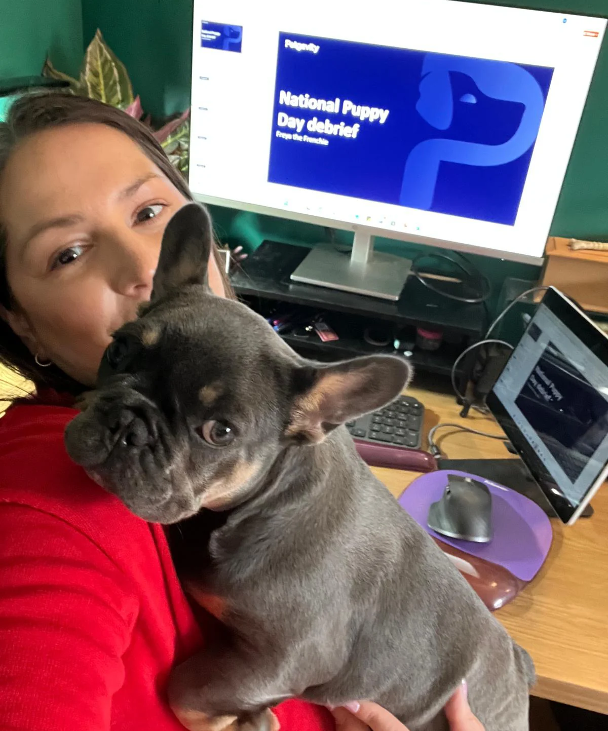 Petgevity staff with her French Bulldog, both working hard