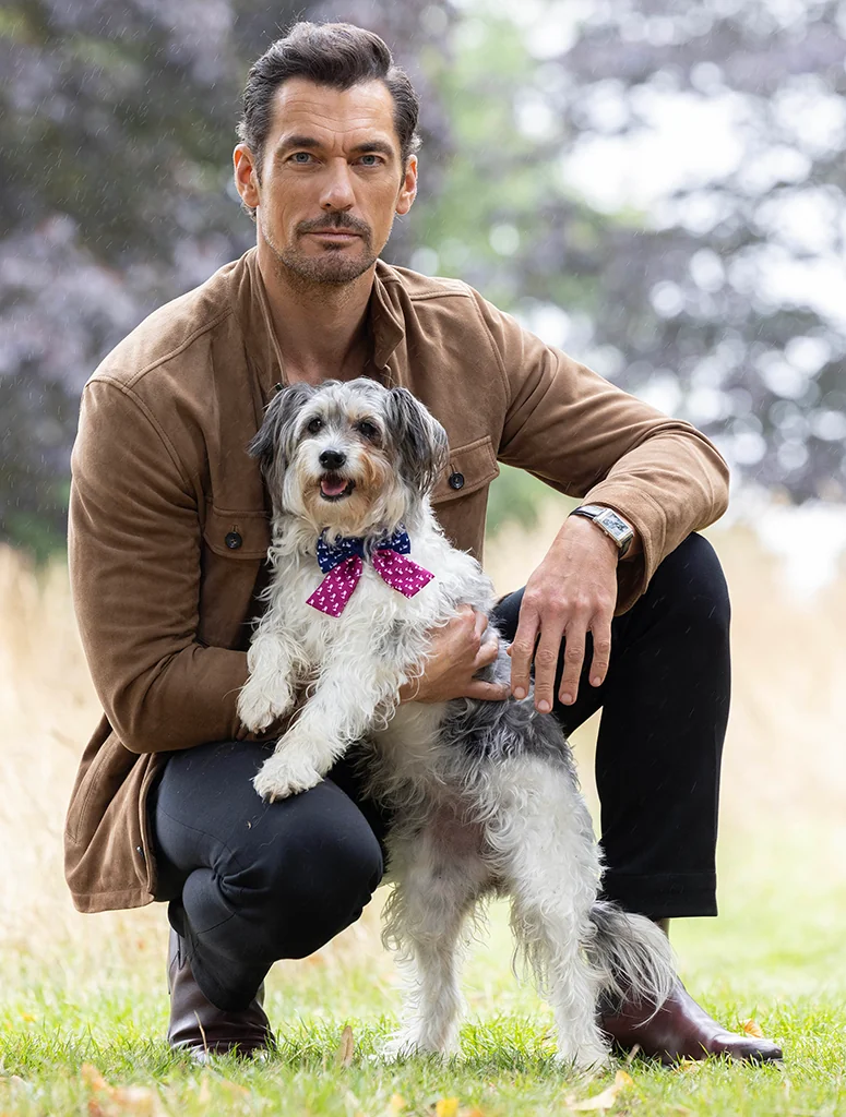 David Gandy with beloved rescue Terrier Dora, who's modelling the Old Dog, New Trips bow tie