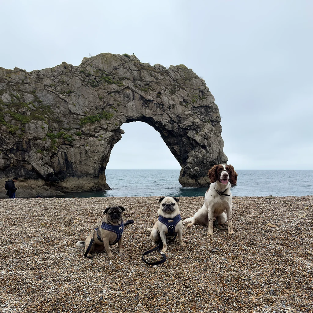 Durdle Door