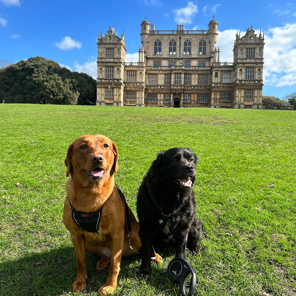 Woolaton Park